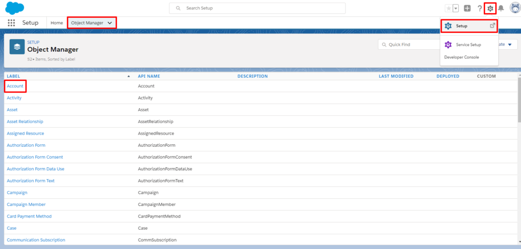 Object Manager Salesforce
