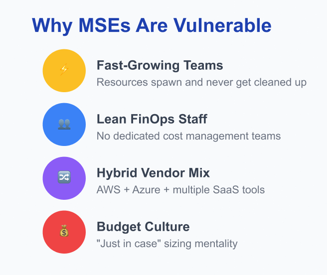 Why MSEs Are Vulnerable