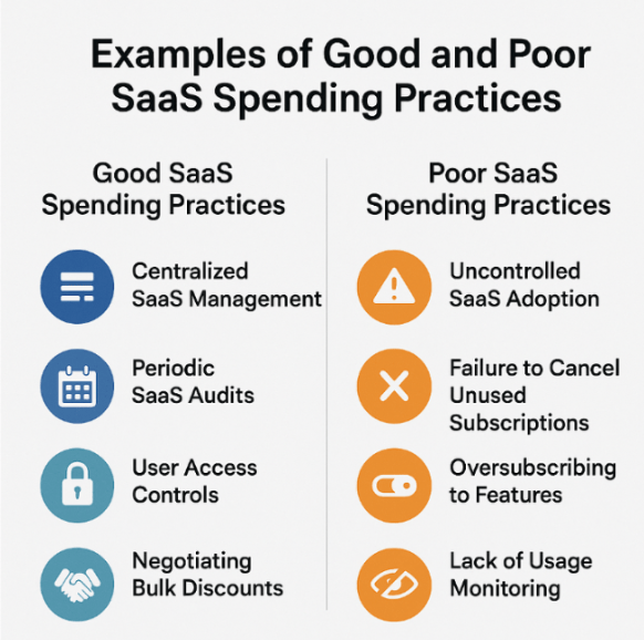Examples of Good and Poor SaaS Spending Practices