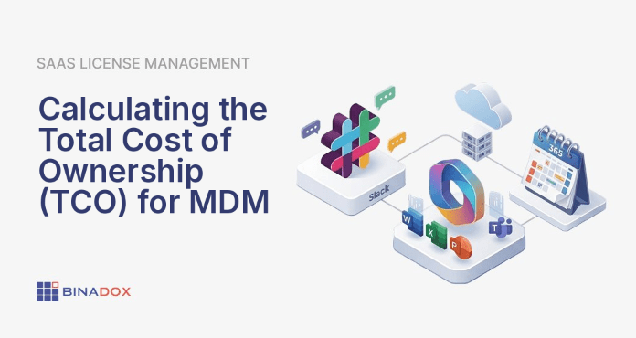 A comprehensive visual representation of the total cost of ownership for Master Data Management (MDM), depicting an iceberg where the visible tip represents initial direct costs (software, implementation) and the much larger submerged portion illustrates the hidden, indirect, and ongoing operational expenses, such as data migration, training, and long-term maintenance. This emphasizes the need for finance and procurement leaders to look beyond the surface when evaluating MDM investments.