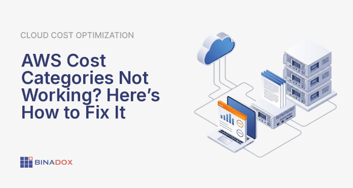 An illustration depicting the frustration of AWS Cost Categories not working, showing tangled financial data and a broken gear, contrasted with a clear, organized dashboard emerging as a solution to bring clarity to cloud spend management.