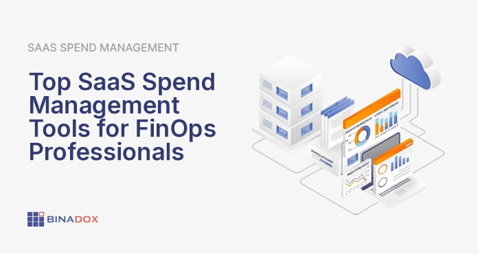 An illustration showing a FinOps lead using a centralized dashboard to untangle a complex web of SaaS application logos, symbolizing the challenge and solution of managing decentralized software spending. This visual metaphor highlights how SaaS spend management tools bring order to chaotic expenses, optimize licenses, and enable accurate cost allocation for financial accountability.