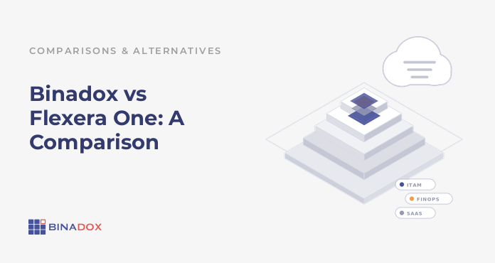 Binadox vs Flexera One: A Comparison
